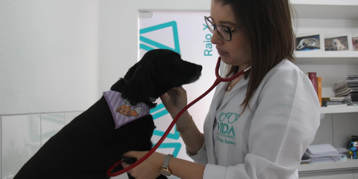 Descubra como o PCR veterinário revoluciona o diagnóstico de doenças em animais de forma rápida e precisa